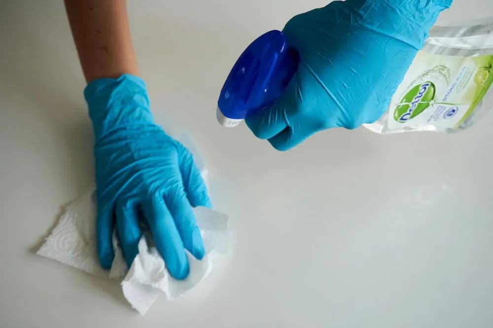 Tidy Cleaning Collective: Our Story